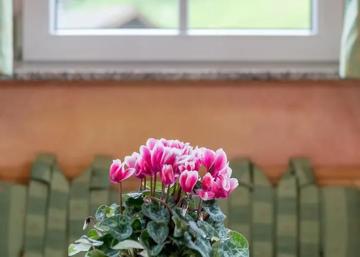 Apartament Castelbell